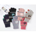 Hot Sales Touch Screen Screen Induction Logo Logo Winter Warm Women Magic Gloves